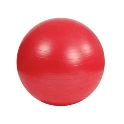 Øvrige Brands MAMBO Max AB Gym Bold (Polybag) Ø55 Cm