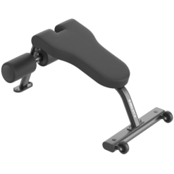 Cybex Ion Abdominal Bench