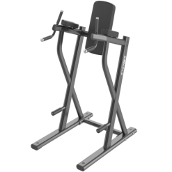 Cybex Ion Dip Leg Raise