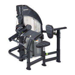SportsArt DF305 Biceps/Triceps