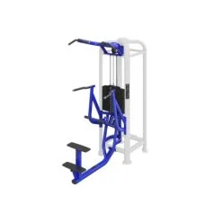 Life Fitness MJ Dip/Chin Assist