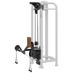 Cybex PWR Play Dual Pulley Low