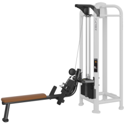 Cybex PWR Play Low Row