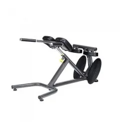 SportsArt A993 Back Hyperextension