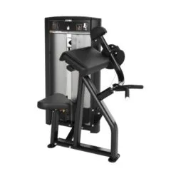 Cybex Ion Biceps Curl